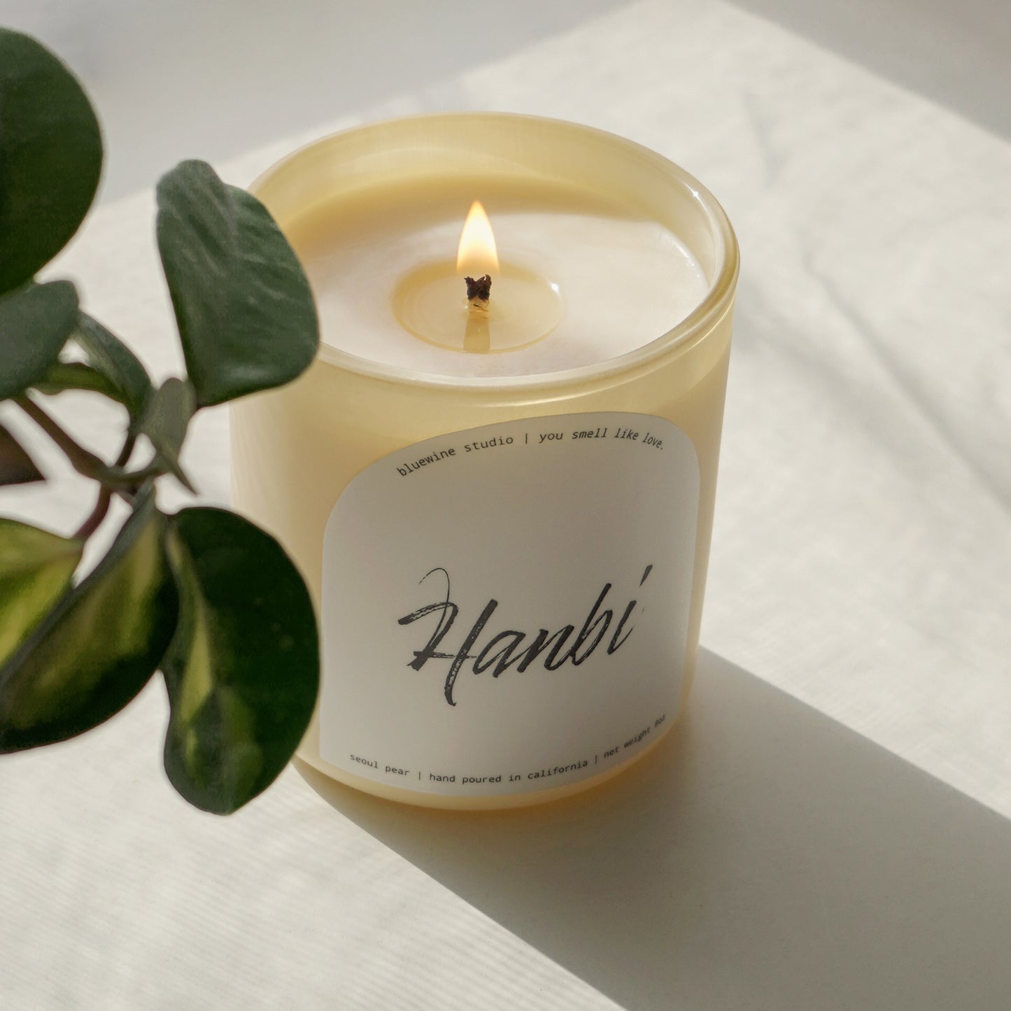 a lit personalized name candle in a creamy, ivory, yellow container placed on a white table with a plant